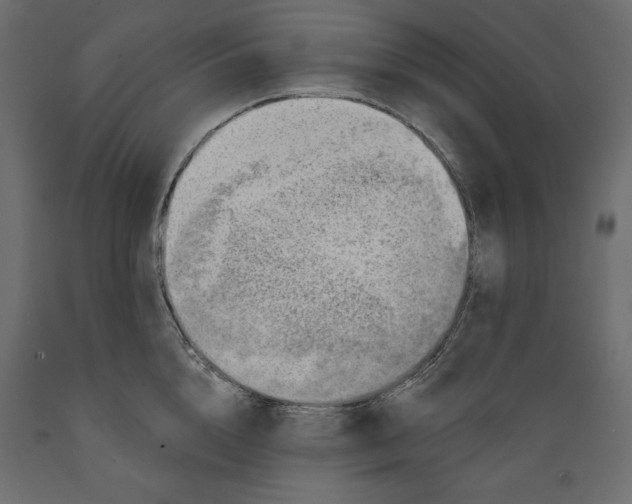 X0000088870856200707061346