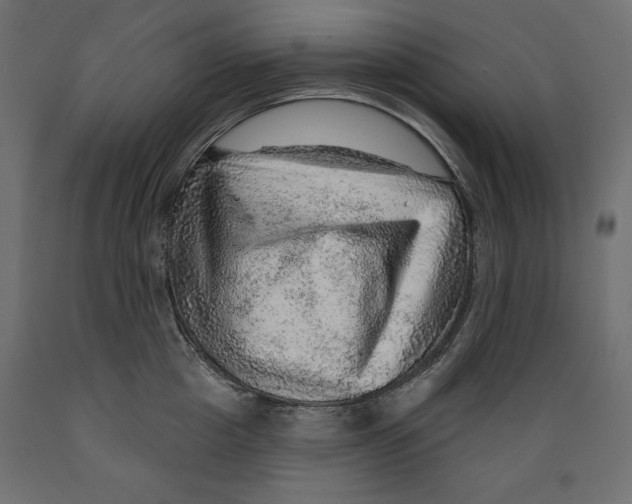 X0000088870857200707061346