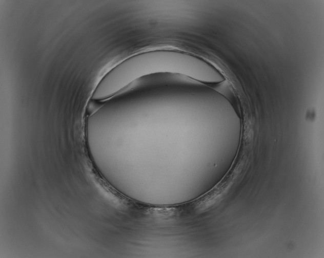 X0000088870858200707061346