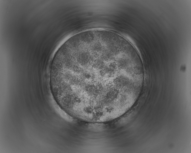X0000088870859200707061346