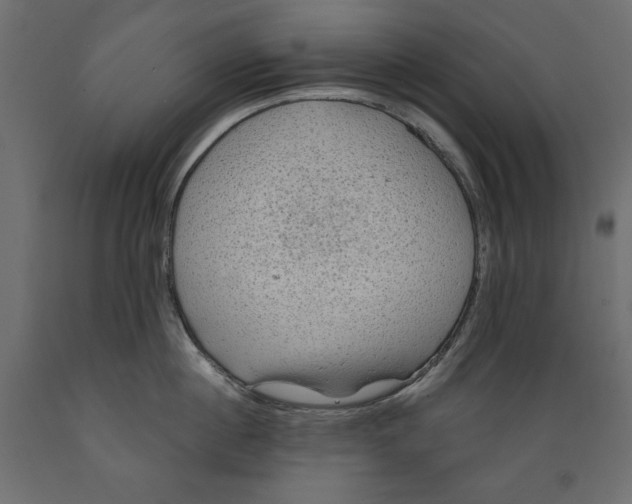X0000088870860200707061346