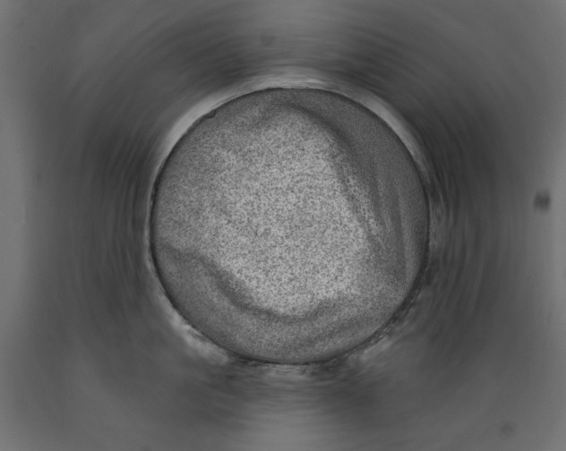 X0000088870861200707061346