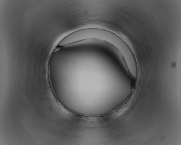 X0000088870862200707061346