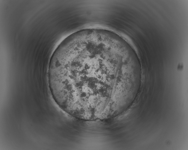 X0000088870863200707061346