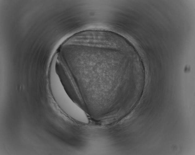 X0000088870864200707061346