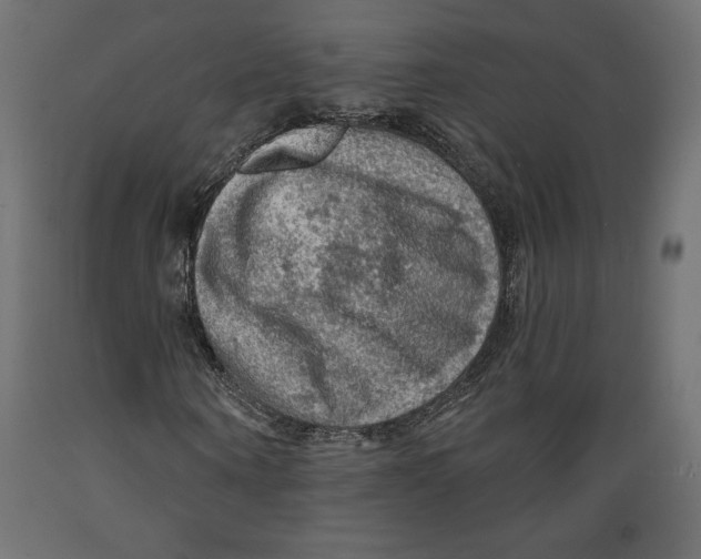 X0000088870866200707061345