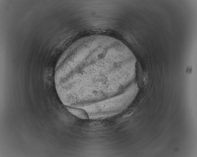 X0000088870867200707061345