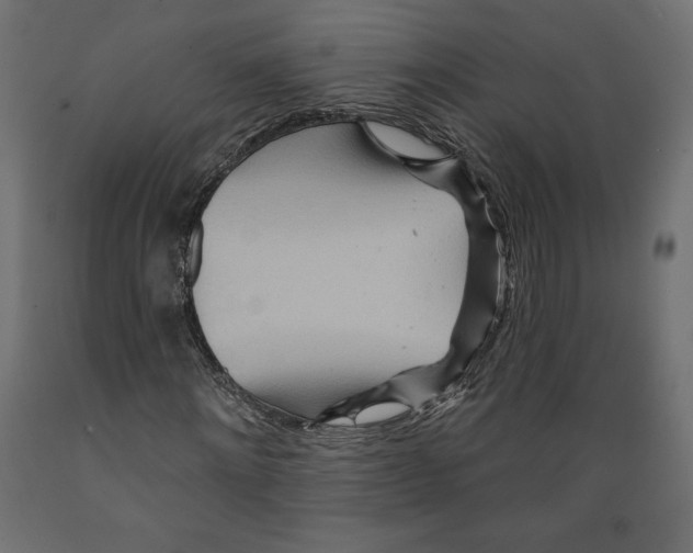 X0000088870868200707061345
