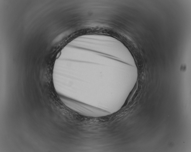 X0000088870869200707061345