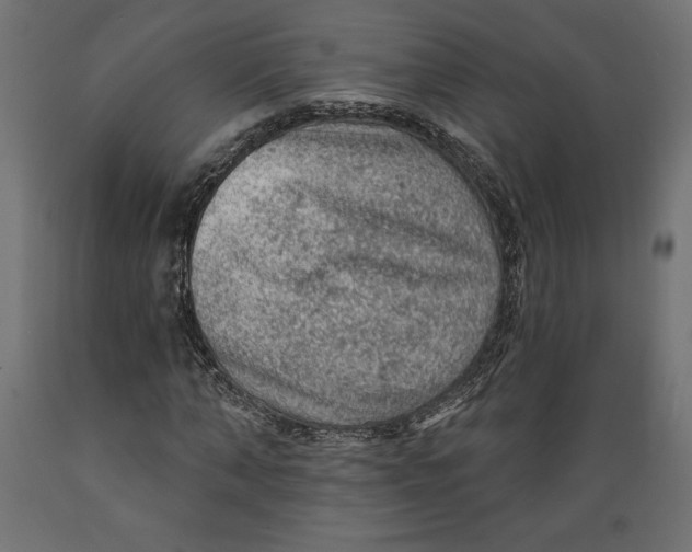 X0000088870870200707061345