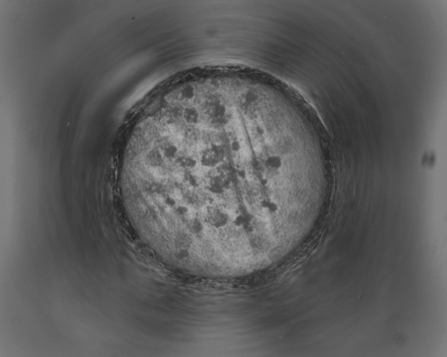 X0000088870871200707061345