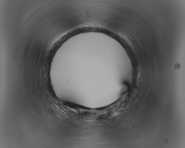 X0000088870872200707061345