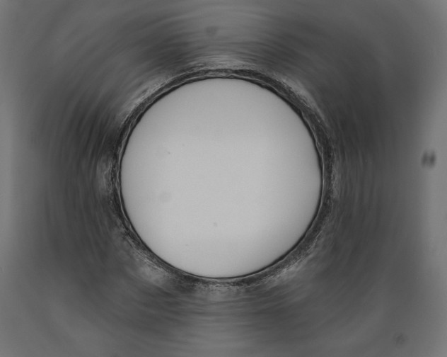 X0000088870873200707061345