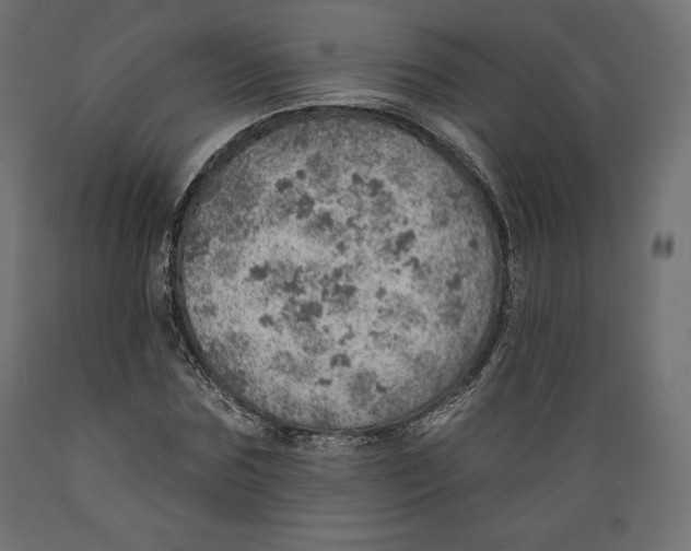 X0000088870875200707061345