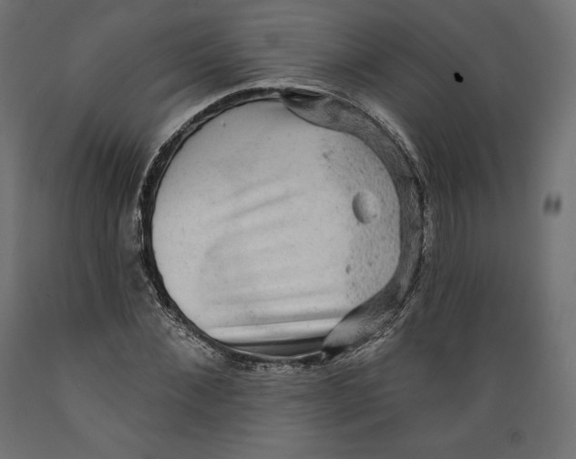 X0000088870876200707061345