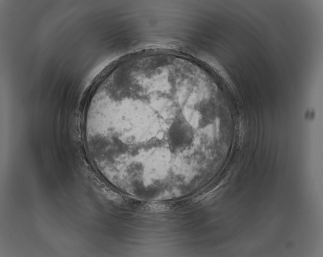 X0000088870878200707061345