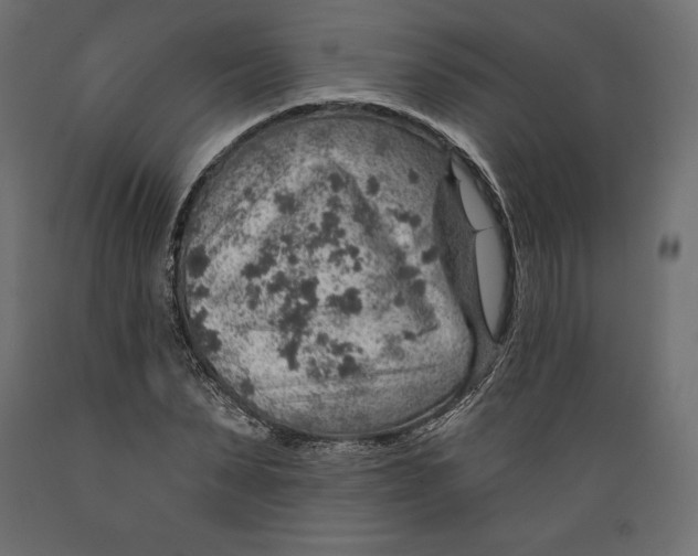 X0000088870879200707061345