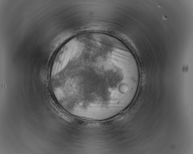 X0000088870882200707061345