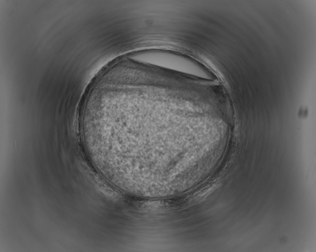 X0000088870883200707061345