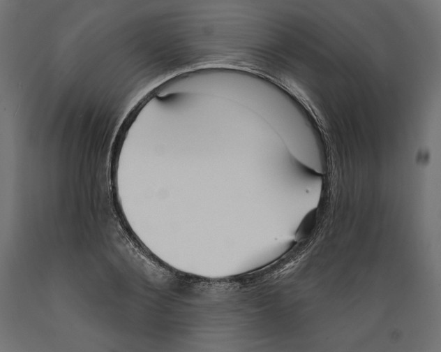 X0000088870884200707061345