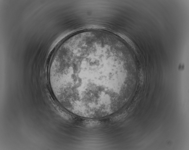 X0000088870886200707061345