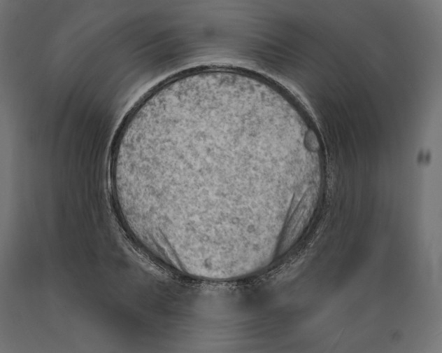 X0000088870887200707061345