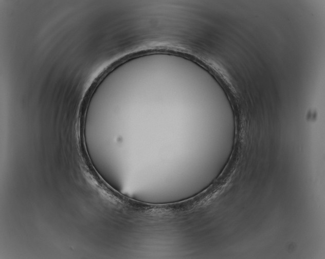 X0000088870888200707061345