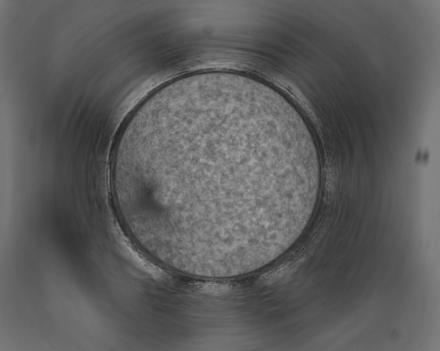 X0000088870890200707061345
