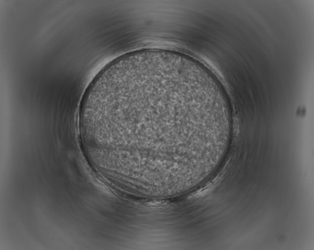 X0000088870891200707061345