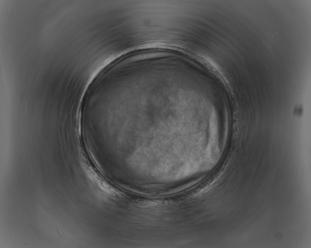 X0000088870892200707061345