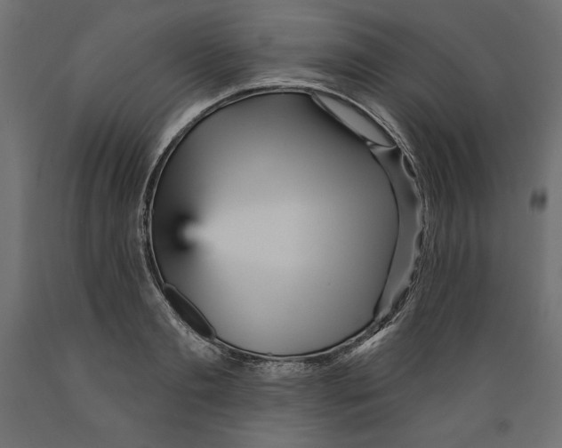 X0000088870893200707061345