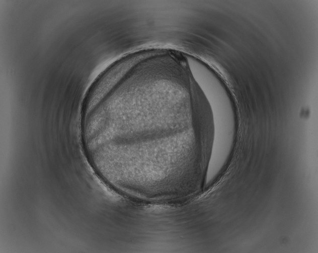 X0000088870894200707061345