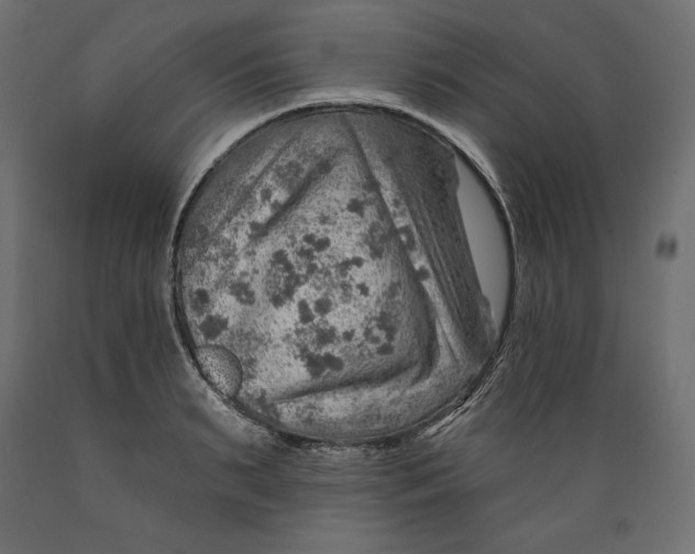 X0000088870895200707061345