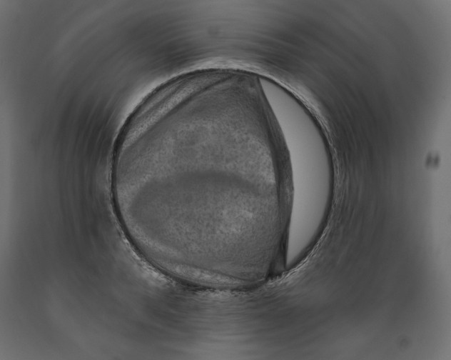 X0000088870896200707061345