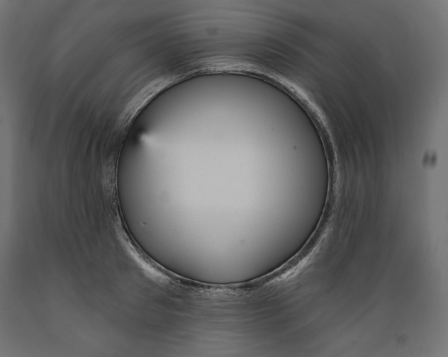 X0000088870897200707061345