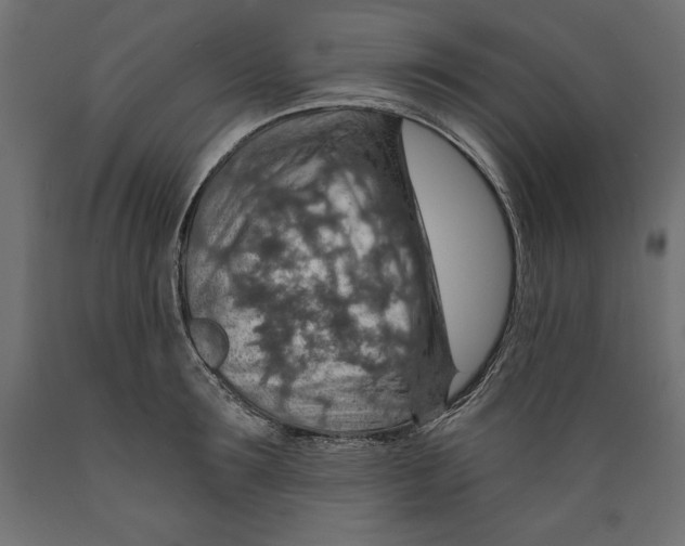 X0000088870899200707061345