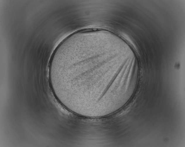 X0000088870900200707061345