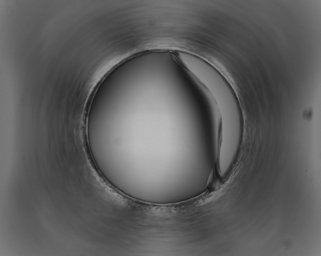 X0000088870901200707061345