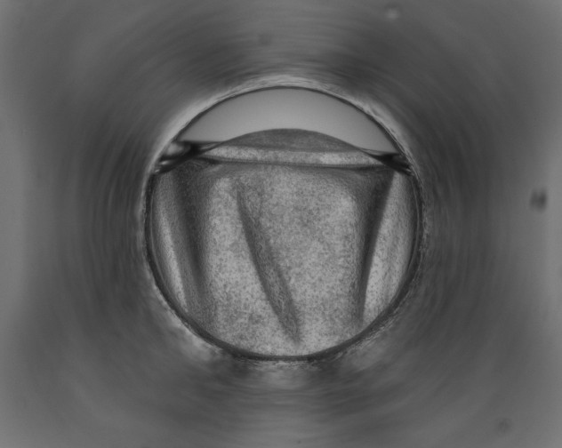 X0000088870902200707061345