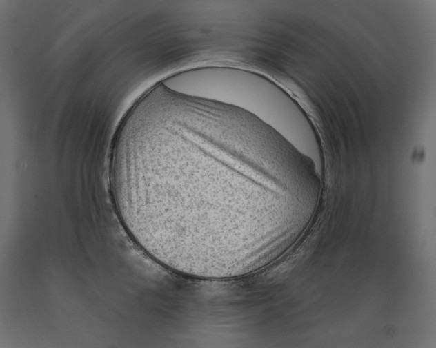 X0000088870904200707061345