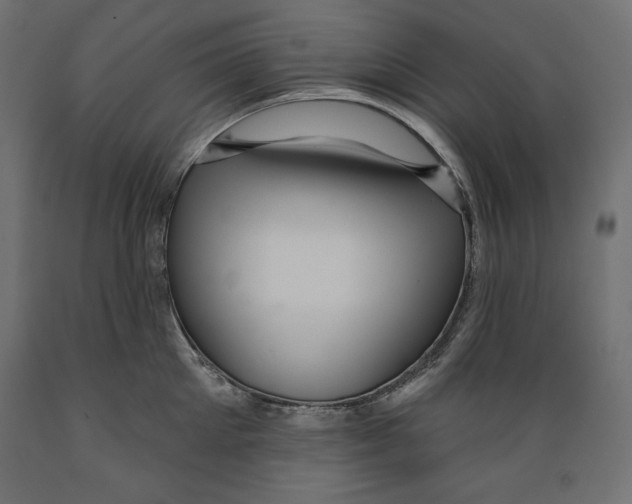 X0000088870905200707061345