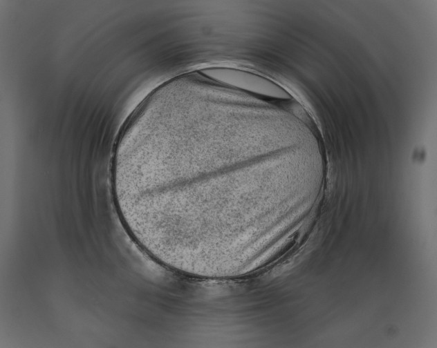 X0000088870906200707061345