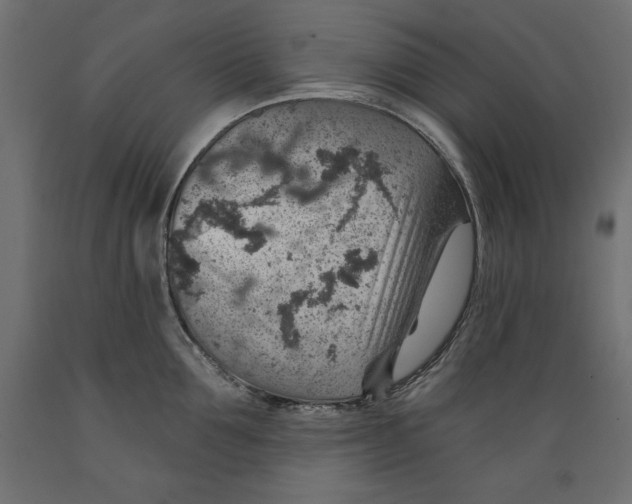 X0000088870907200707061345