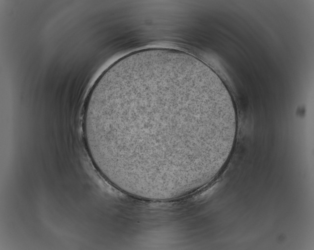 X0000088870908200707061345