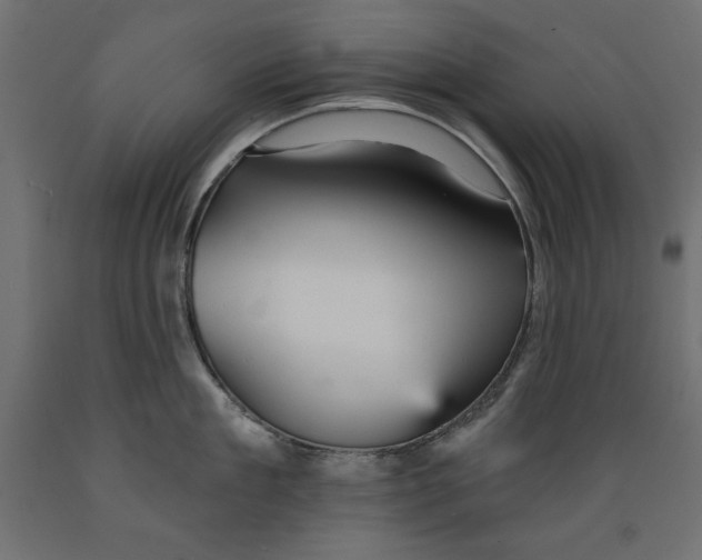 X0000088870909200707061345