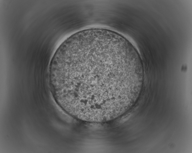 X0000088870911200707061345