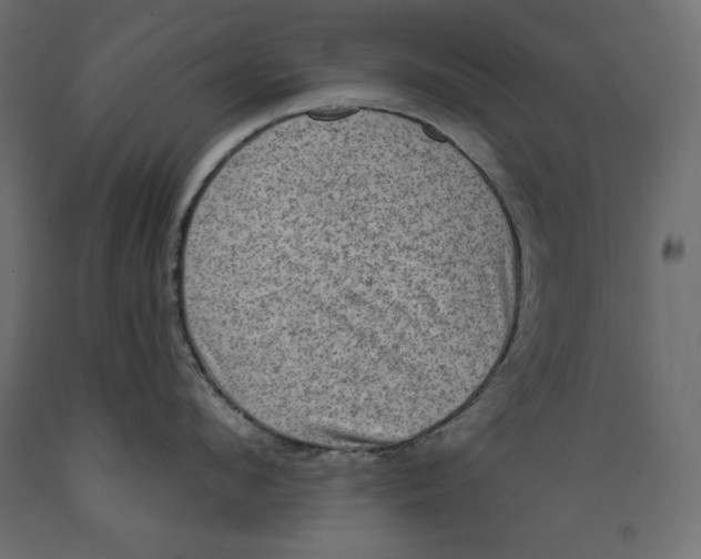 X0000088870912200707061345