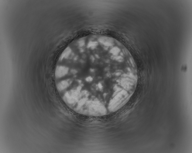 X0000088870913200707061344
