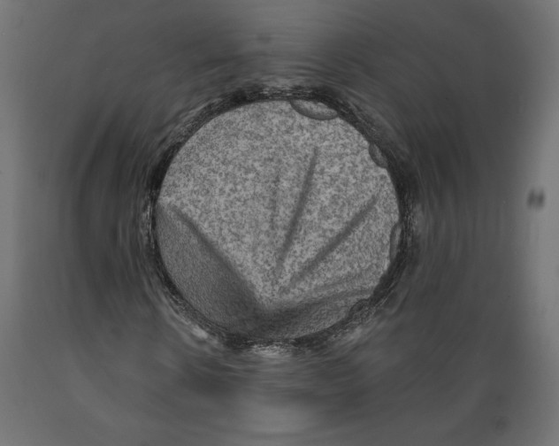 X0000088870914200707061344