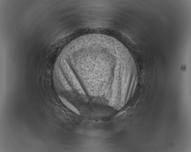 X0000088870917200707061344